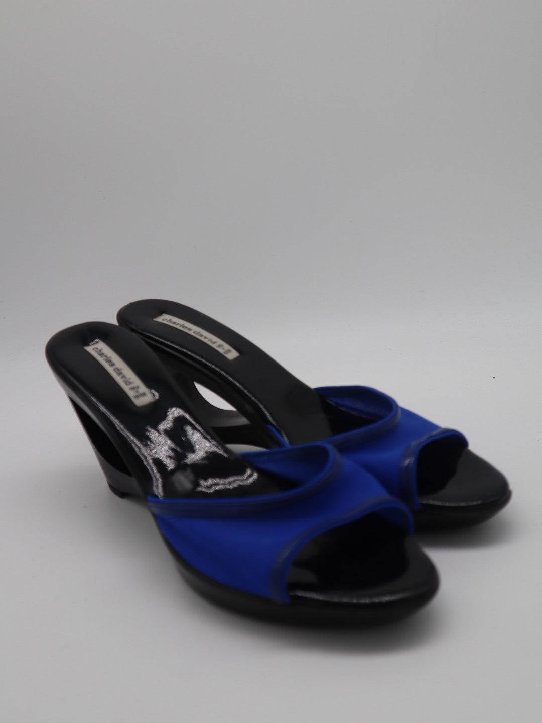 Zapatillas Charles David (8us)